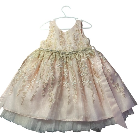 American Princess Other - American Princess Satin Pink Dress